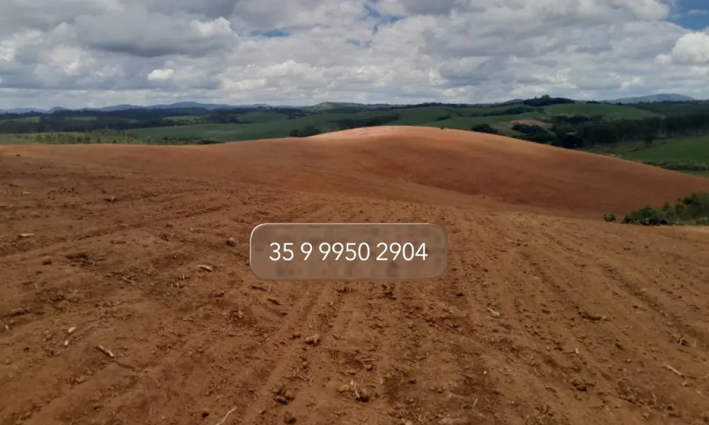 Fazenda, 552 hectares - Foto 9