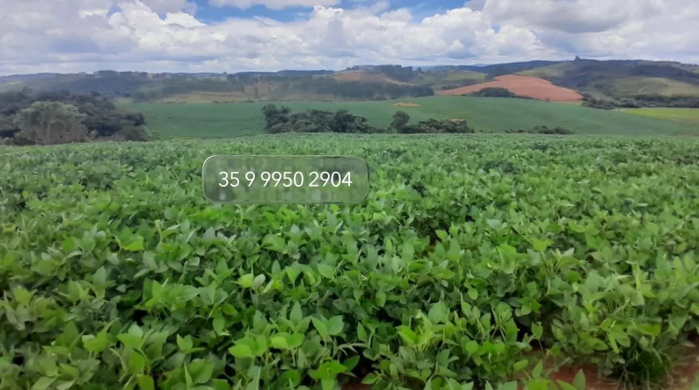 Fazenda, 552 hectares - Foto 19