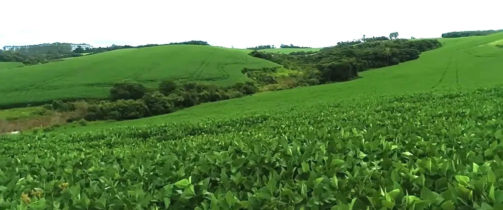 Fazenda, 552 hectares - Foto 17