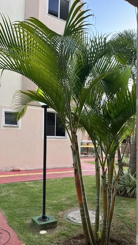 Apartamento, 2 quartos, 42 m² - Foto 4