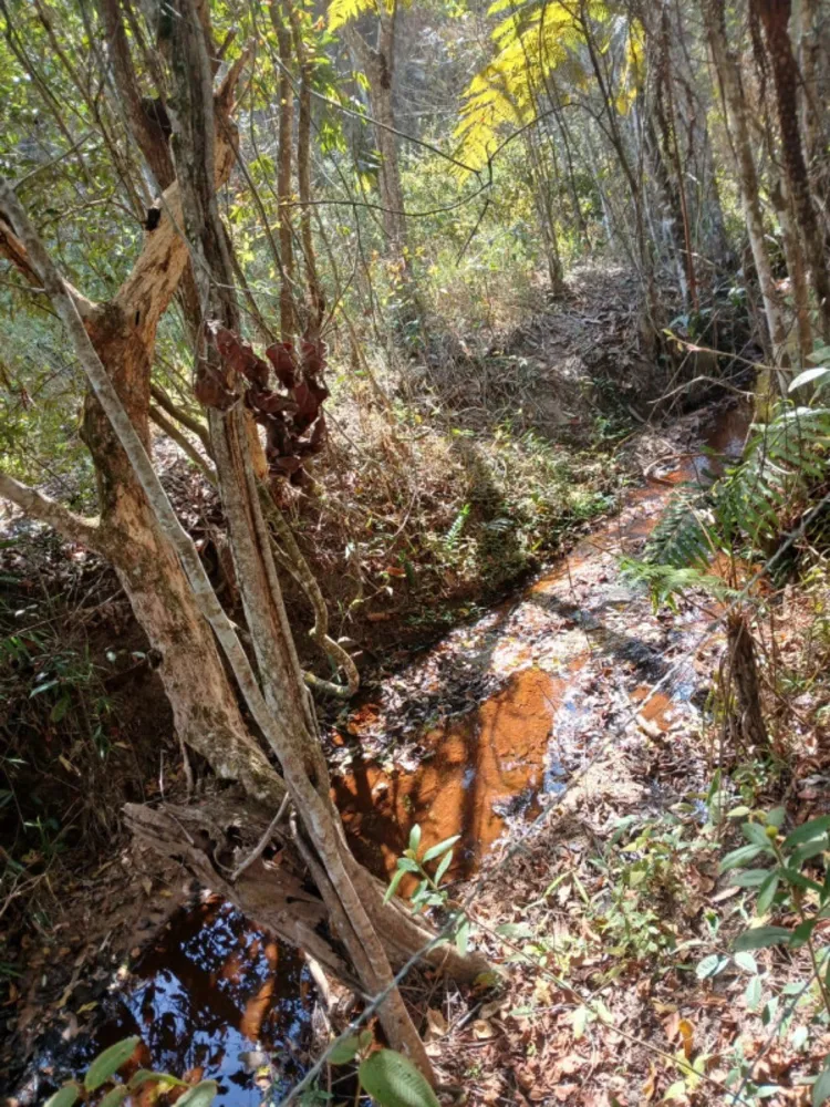 Terreno - Foto 1