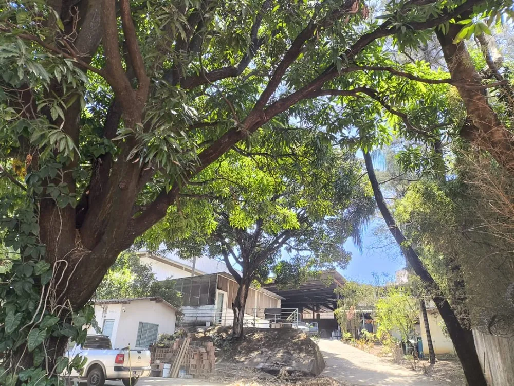 Depósito-Galpão, 2050 m² - Foto 7