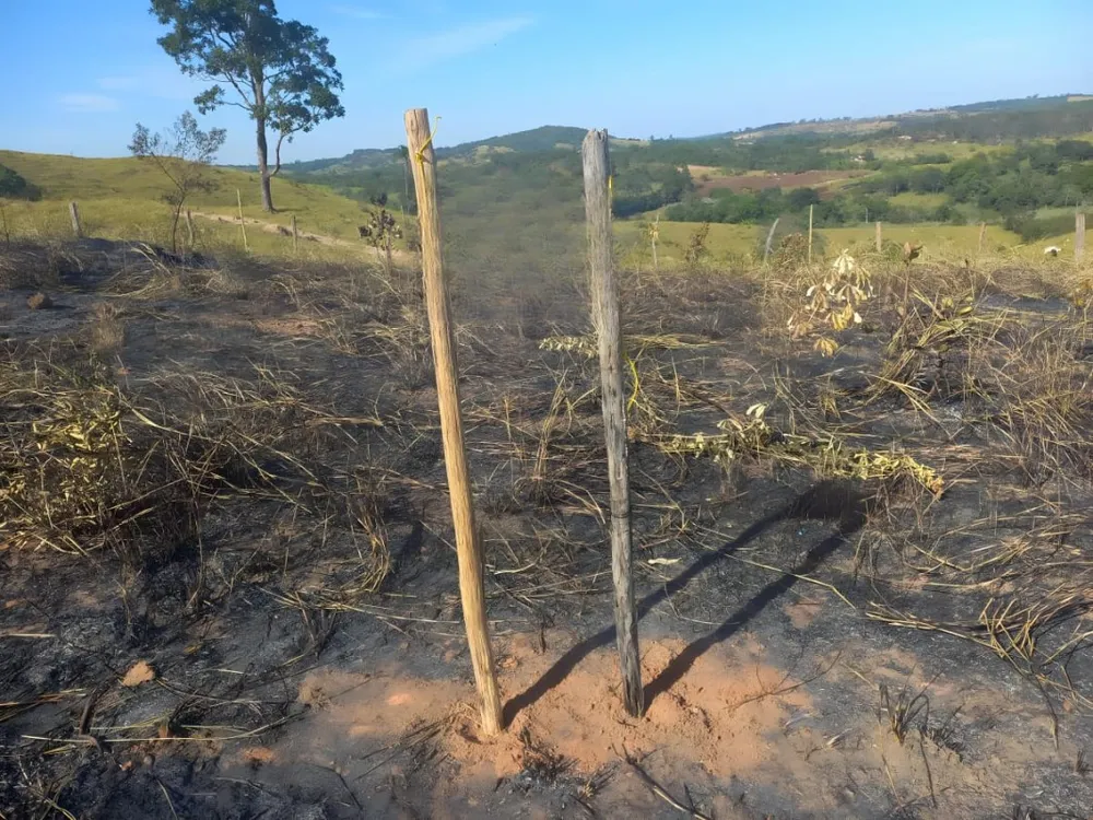 Terreno, 200 m² - Foto 1