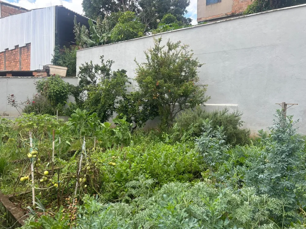 Casa, 3 quartos, 223 m² - Foto 14