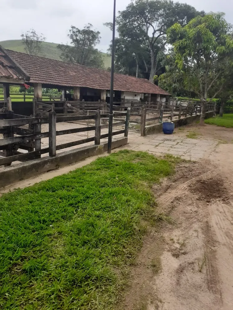 Fazenda, 513 hectares - Foto 1