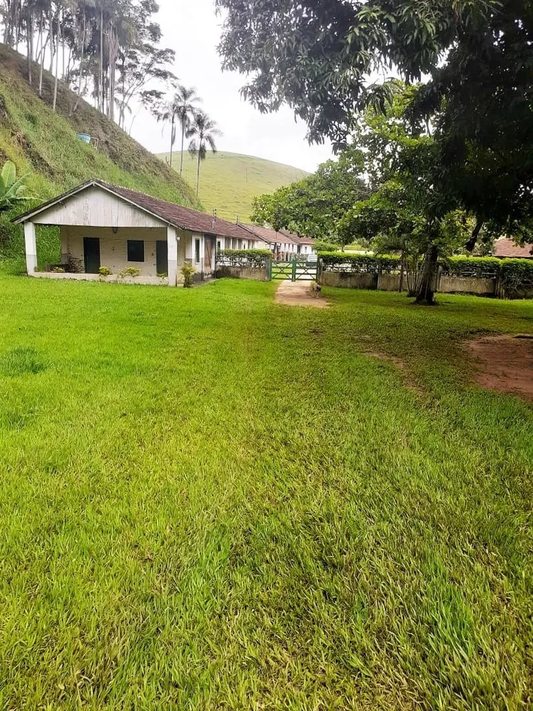 Fazenda, 513 hectares - Foto 8