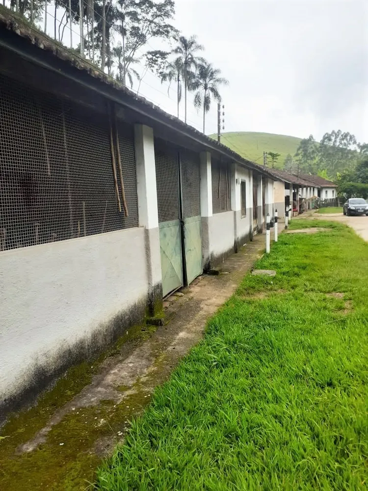 Fazenda, 513 hectares - Foto 10