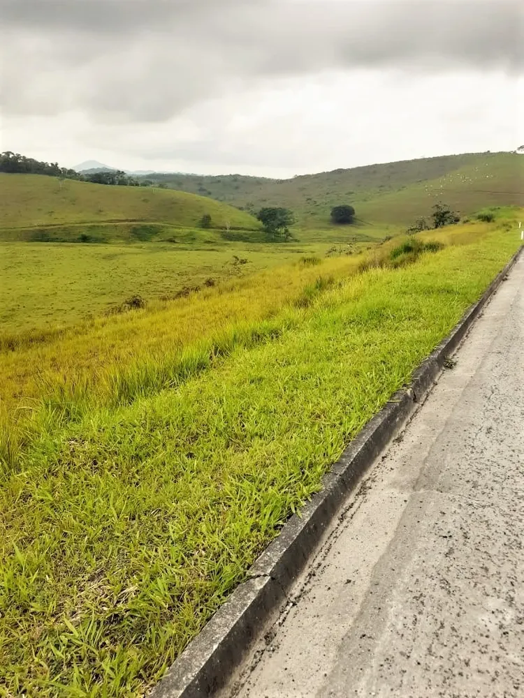 Fazenda, 513 hectares - Foto 3