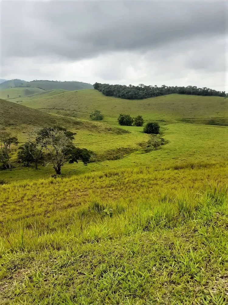 Fazenda, 513 hectares - Foto 4