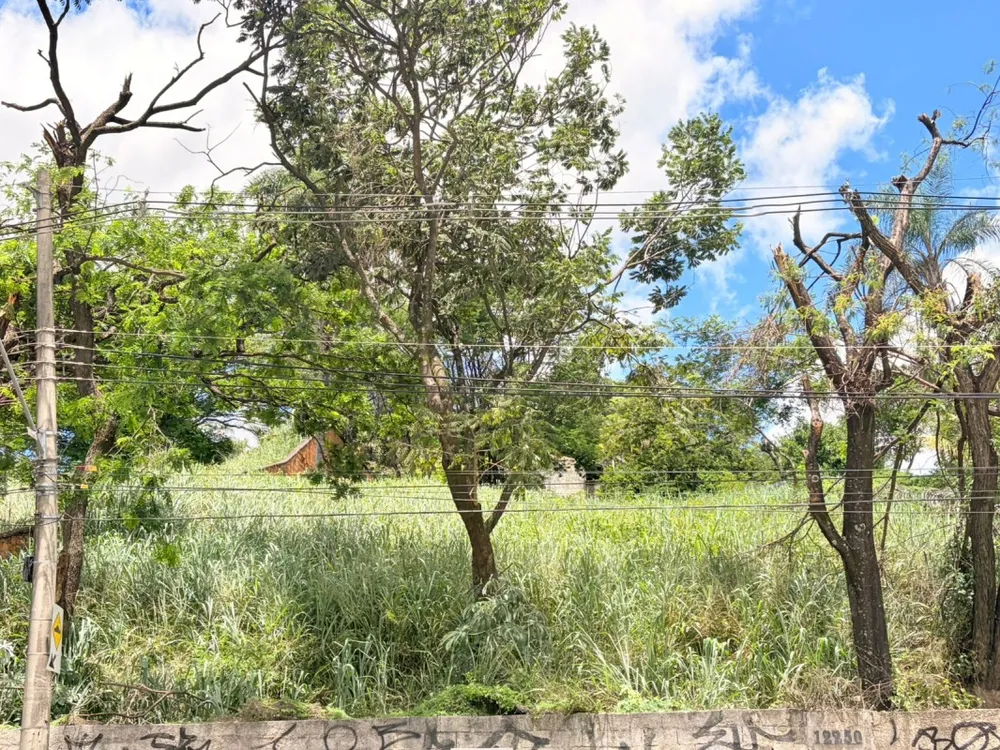 Terreno, 1000 m² - Foto 6