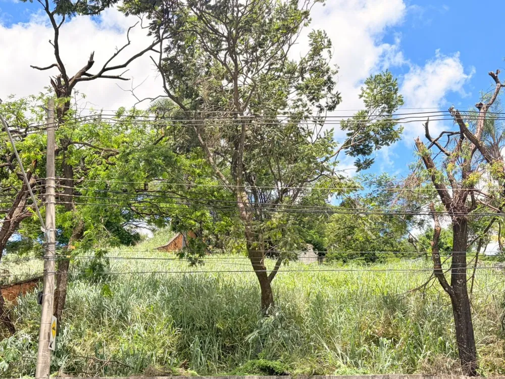 Terreno, 1000 m² - Foto 3