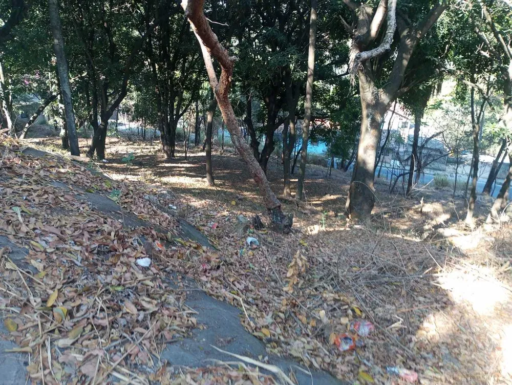 Terreno, 6290 m² - Foto 4