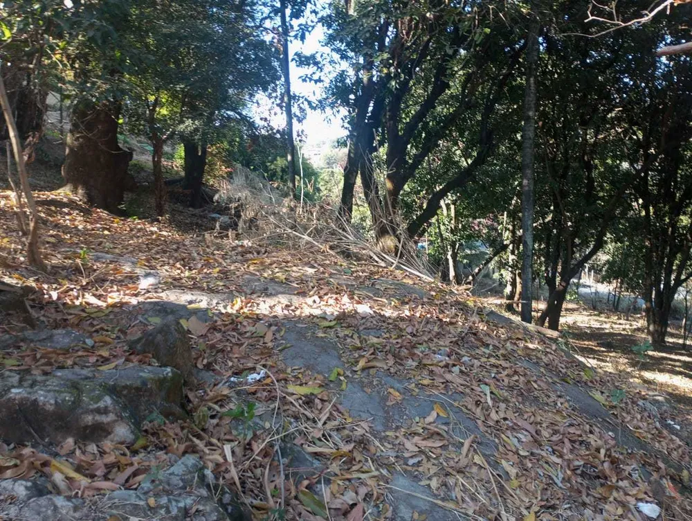 Terreno, 6290 m² - Foto 2