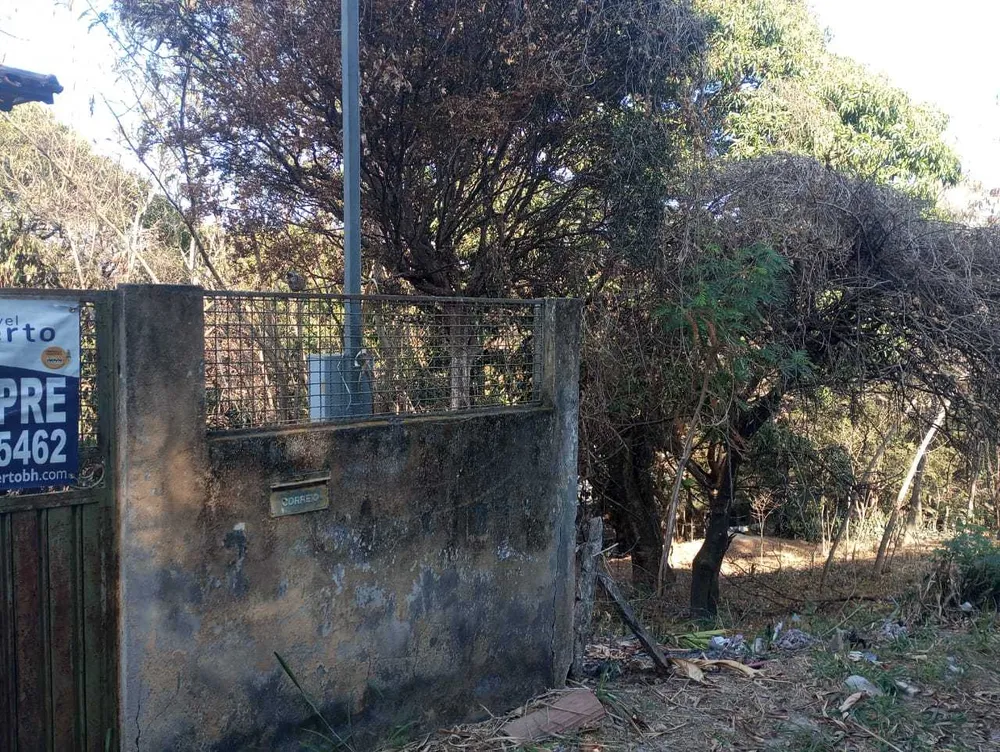Terreno, 6290 m² - Foto 3