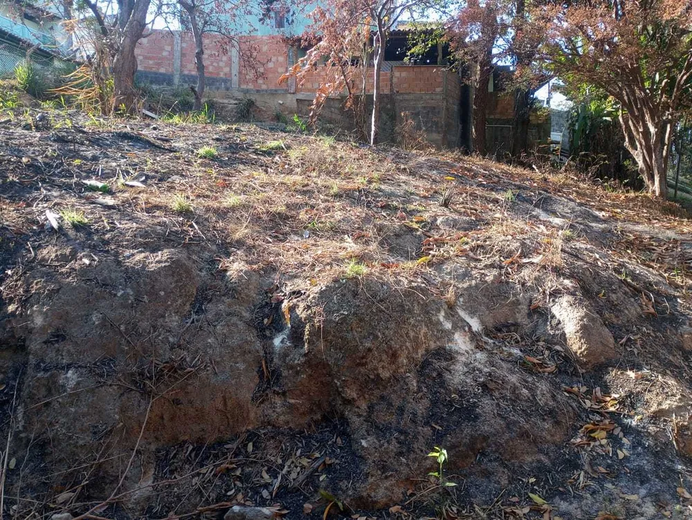 Terreno, 6290 m² - Foto 6