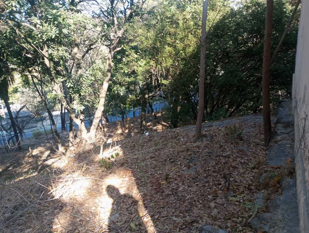 Terreno, 6290 m² - Foto 7