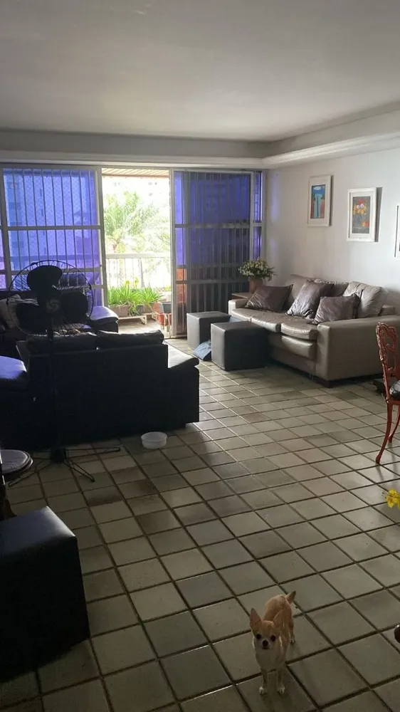 Apartamento, 3 quartos, 250 m² - Foto 3