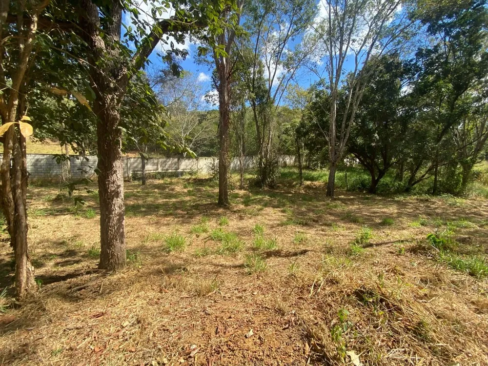 Terreno, 1000 m² - Foto 9