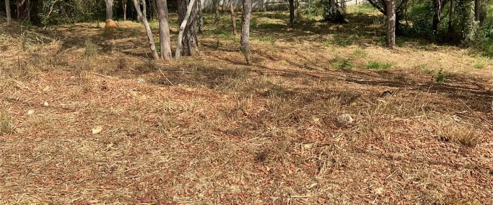 Terreno, 1000 m² - Foto 12