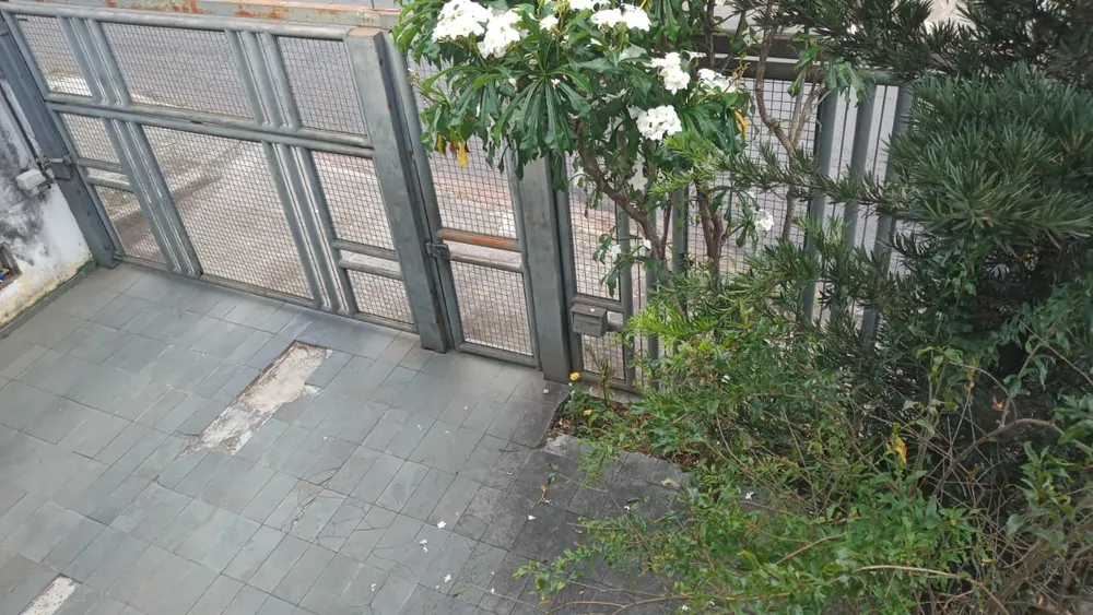 Casa, 3 quartos, 340 m² - Foto 12