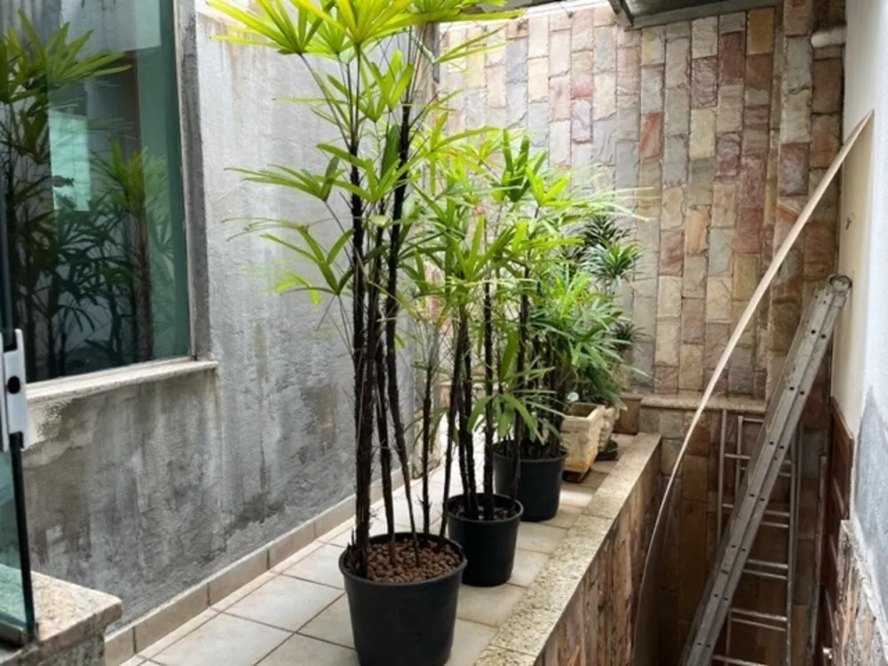 Casa, 4 quartos, 314 m² - Foto 7