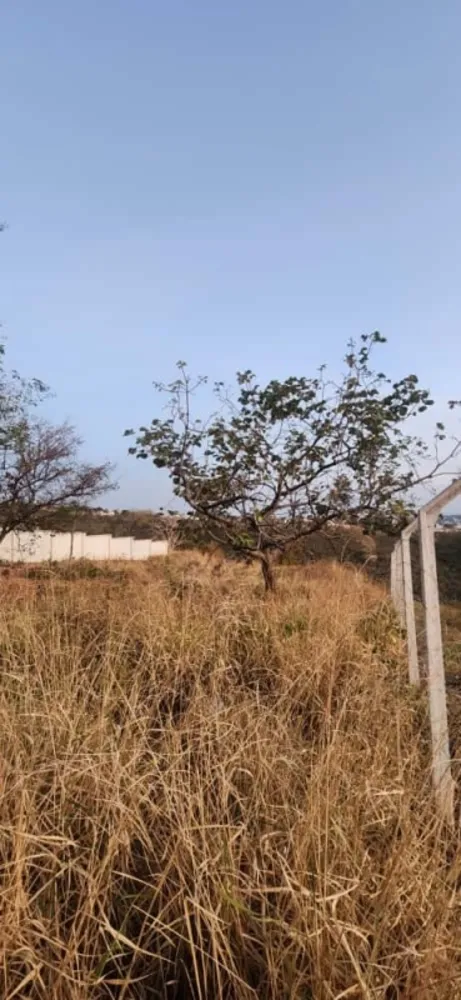Terreno, 5000 m² - Foto 4