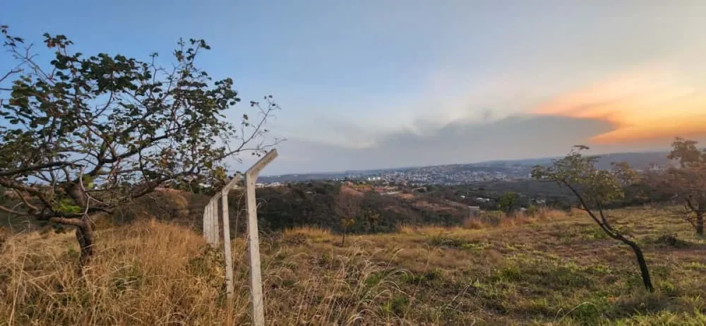 Terreno, 5000 m² - Foto 6