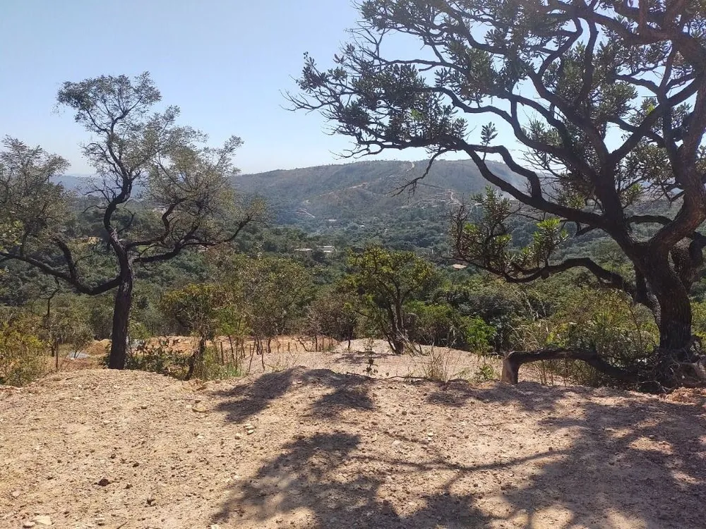 Terreno - Foto 5