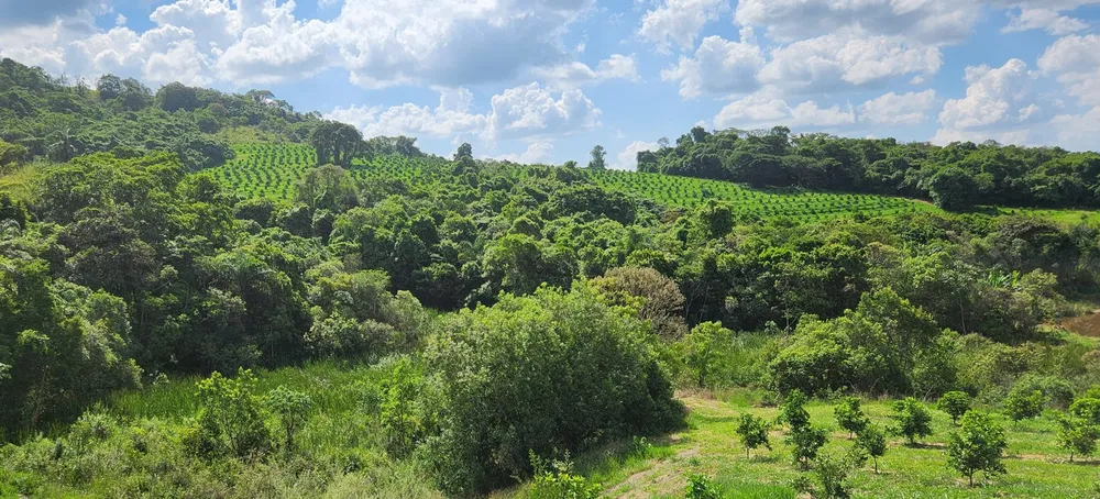 Fazenda, 91 hectares - Foto 8