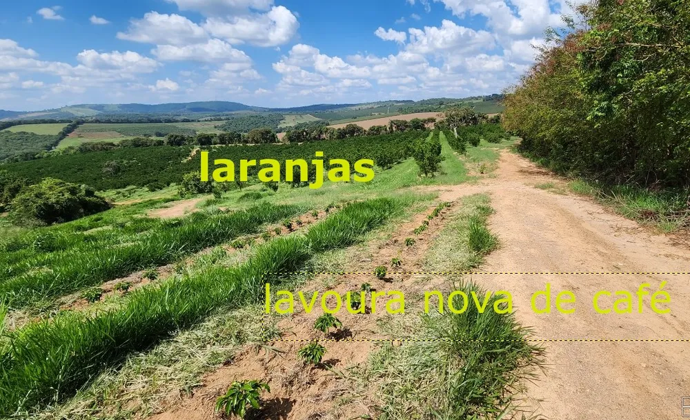 Fazenda, 91 hectares - Foto 11