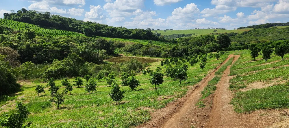 Fazenda, 91 hectares - Foto 9