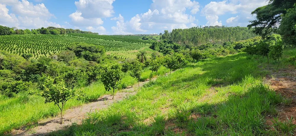 Fazenda, 91 hectares - Foto 2