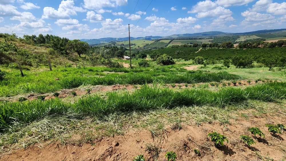 Fazenda, 91 hectares - Foto 10