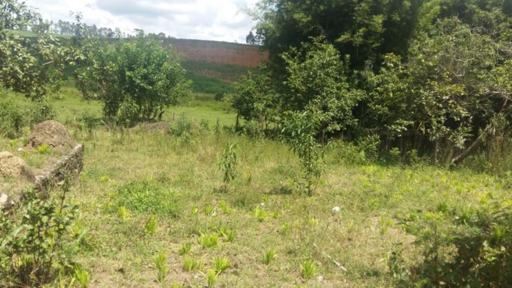 Chácara à venda com 1 quarto, 1815m² - Foto 12