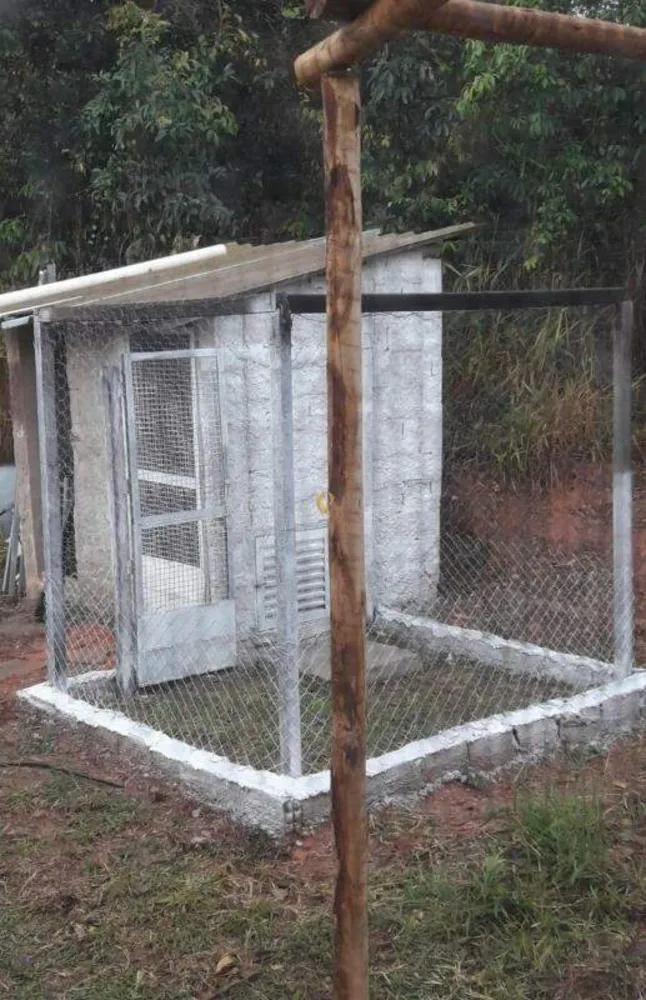 Sítio, 2 quartos, 20000 m² - Foto 3