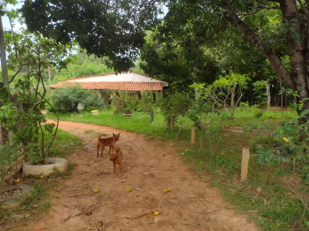 Fazenda, 1 quarto - Foto 5