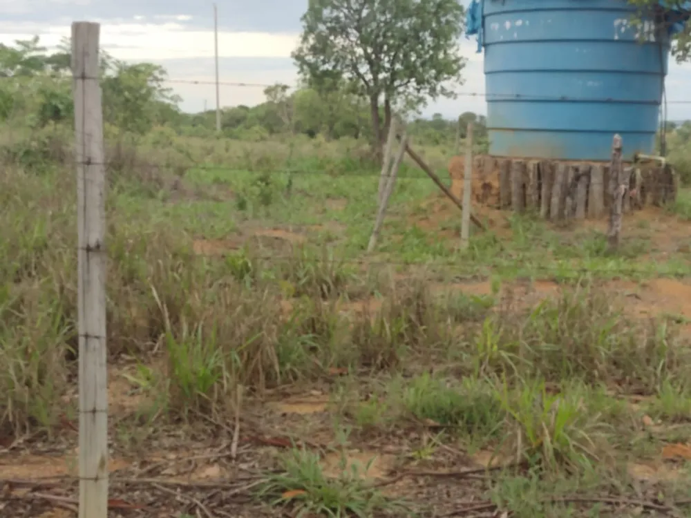 Fazenda, 1 quarto - Foto 7