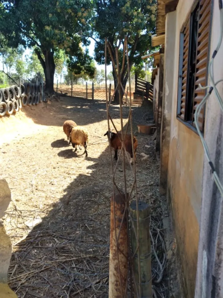 Fazenda, 1 quarto - Foto 9