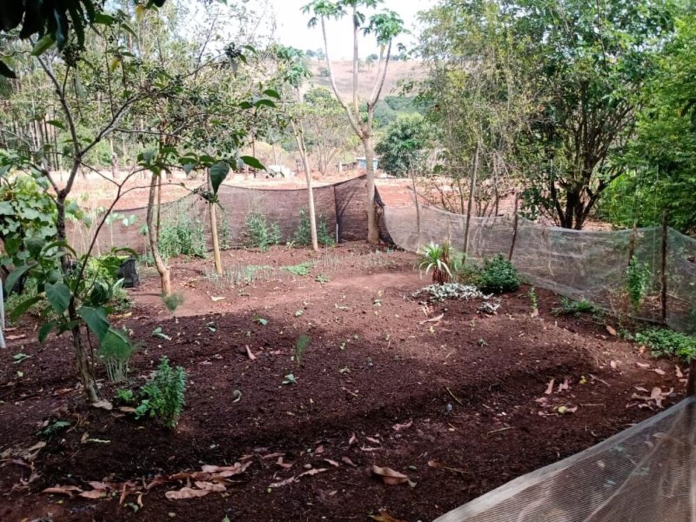 Sítio à venda com 3 quartos, 10000m² - Foto 5