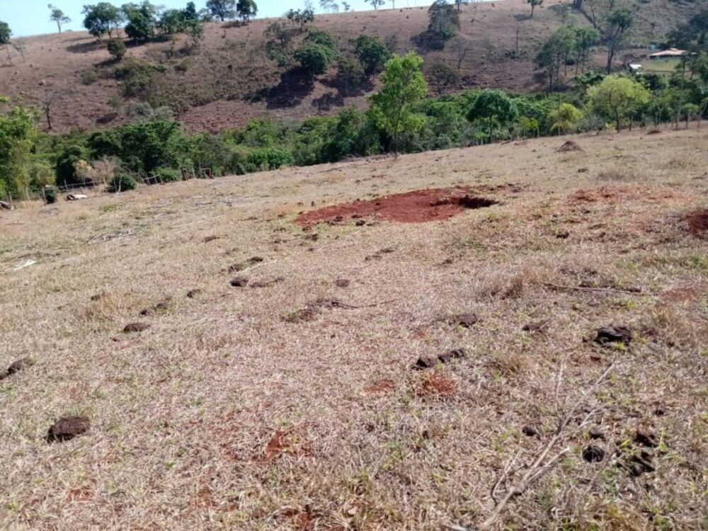 Sítio à venda com 3 quartos, 10000m² - Foto 6
