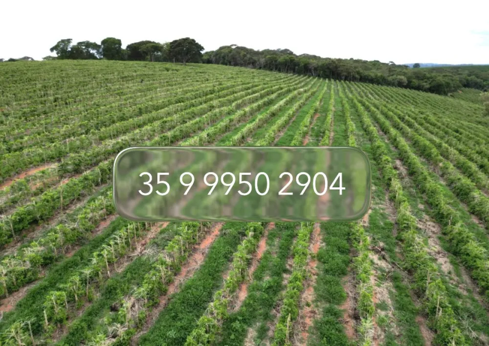 Fazenda, 400 hectares - Foto 7