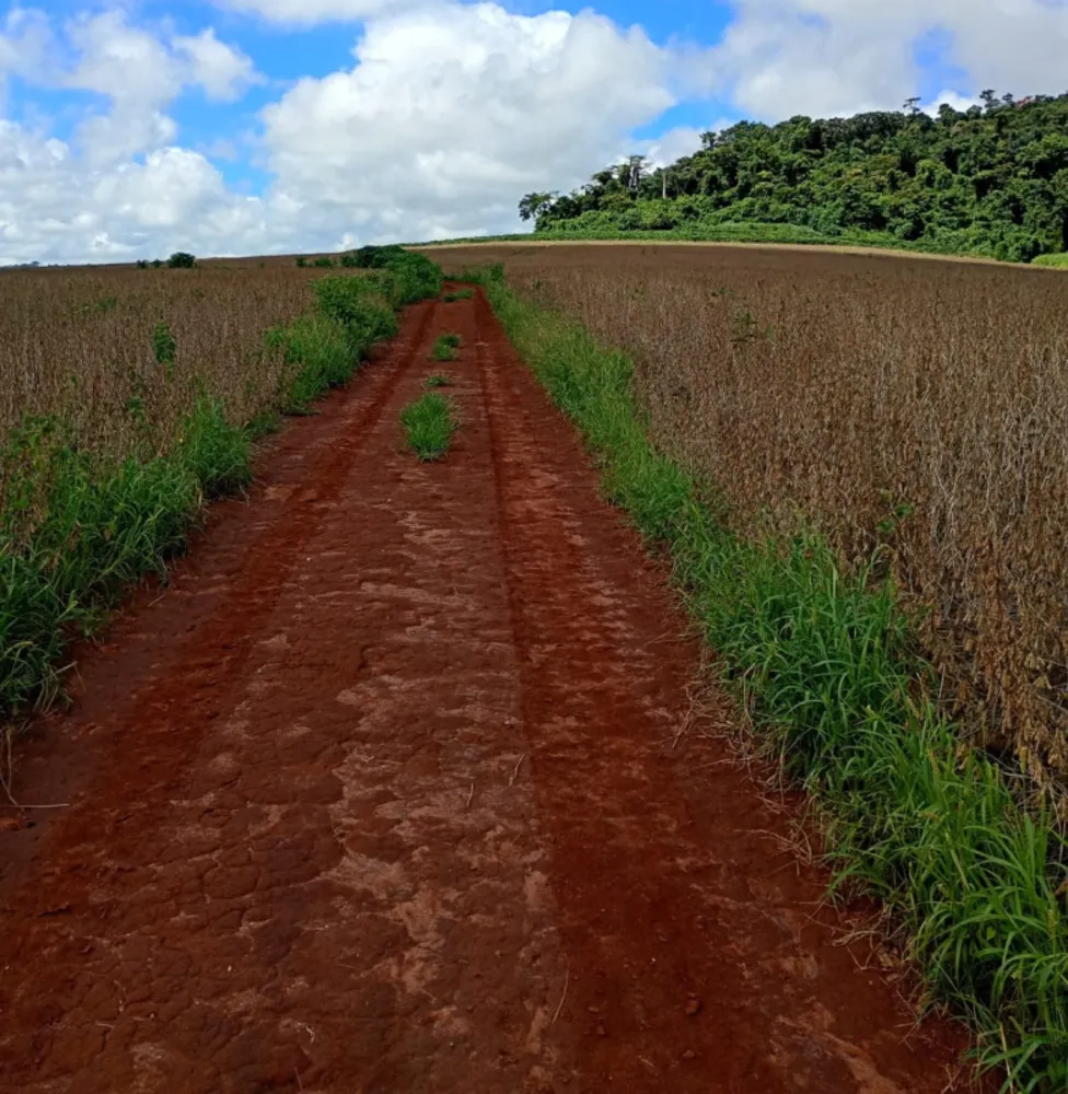 Fazenda, 400 hectares - Foto 5