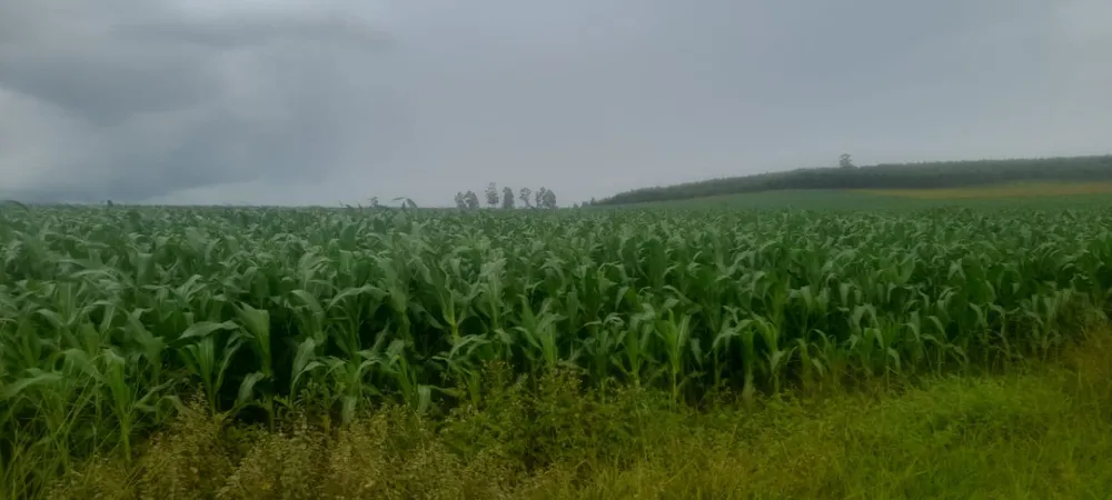 Fazenda, 400 hectares - Foto 1