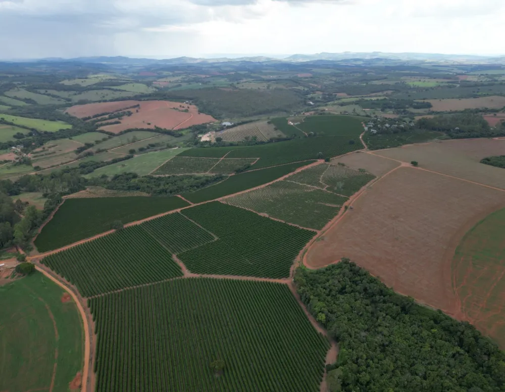 Fazenda, 400 hectares - Foto 8
