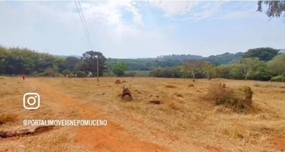 Fazenda, 3922 m² - Foto 7