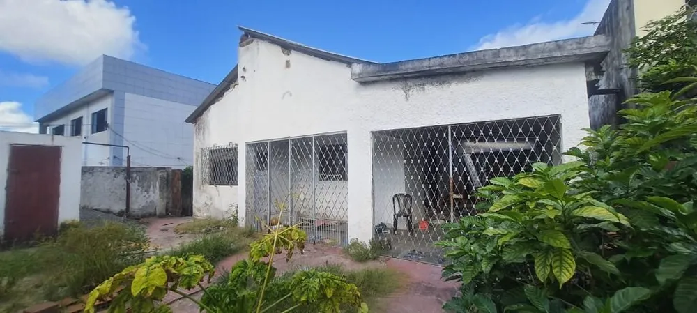 Casa, 3 quartos, 402 m² - Foto 3