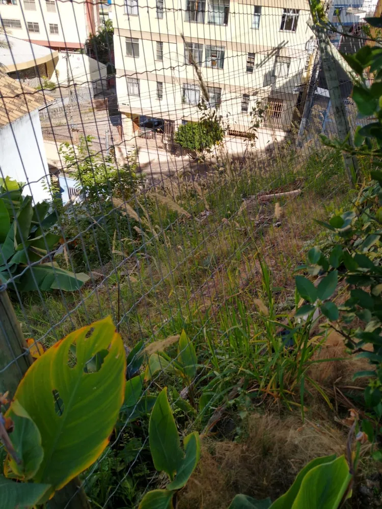 Terreno, 300 m² - Foto 4