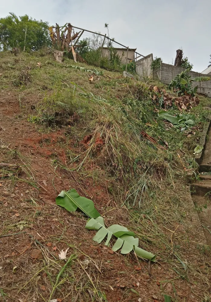 Terreno, 300 m² - Foto 2