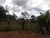 Chácara, 1 quarto - Foto 2