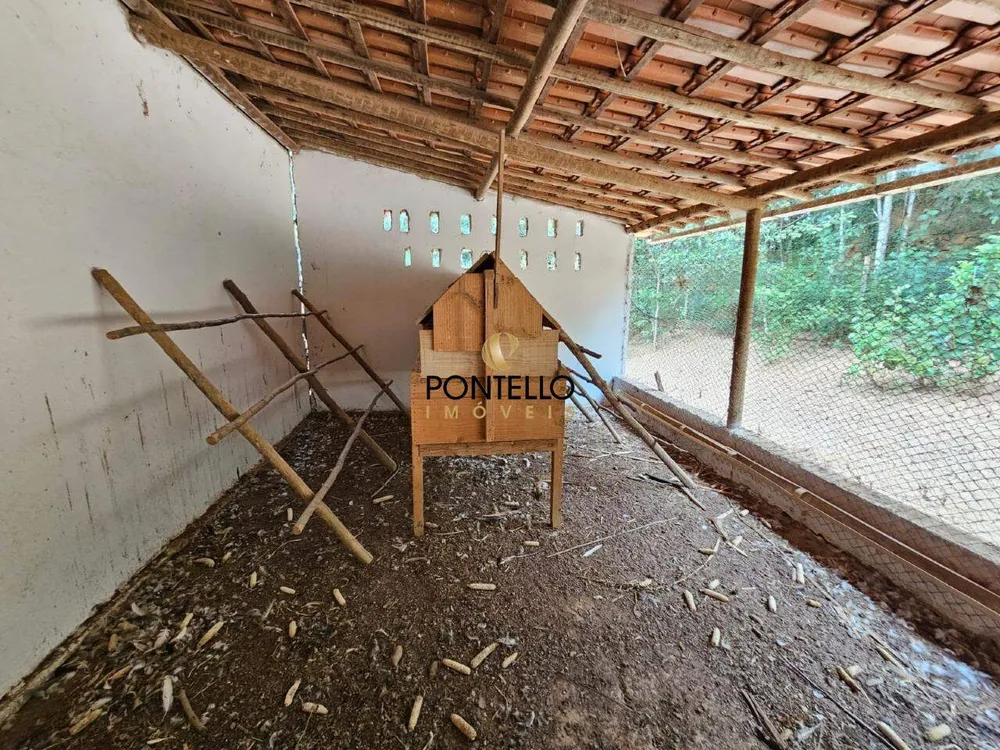 Fazenda, 37 hectares - Foto 8